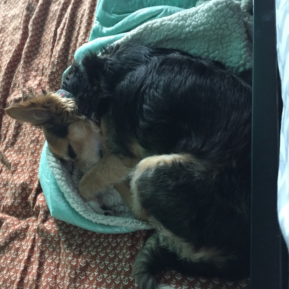 Meet your Posher, Kayley